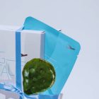 FG Beauty Fátyolmaszk